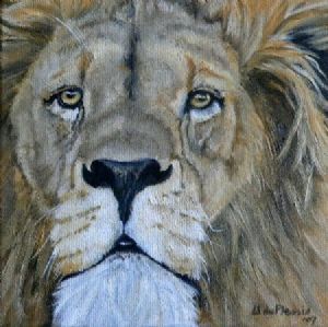 "Lion portrait"