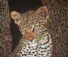 "Baby Leopard"