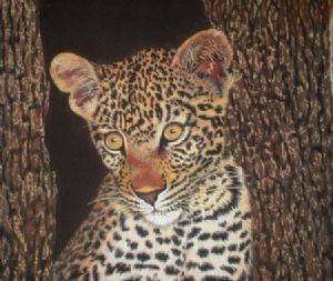 "Baby Leopard"