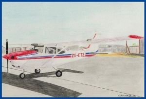 "Cessna 172 ZS-ETL"