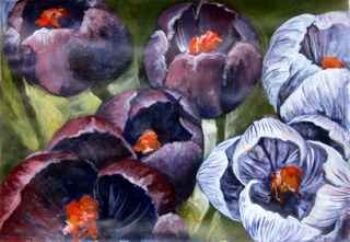 "Purple Tulips"