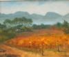 "Cape Autumn Groot Constantia 2"