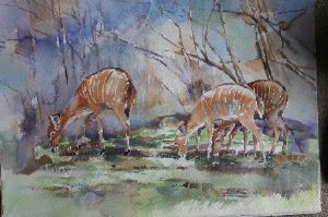 "Nyala grazing"