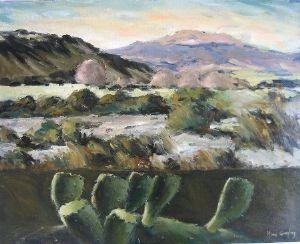 "Karoo landscape"