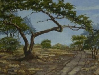"Road to Somewhere"
