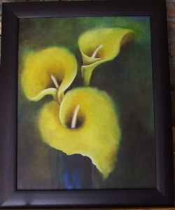"Yellow arums"