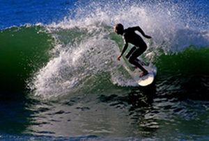 "Surfer One"