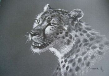 "Cheetah"
