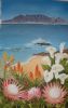 "View of Table Mountain"
