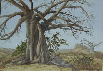"Baobab valley"