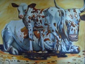 "nguni mother and calf"
