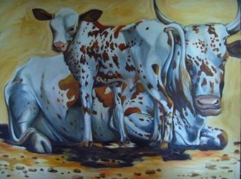 "nguni mother and calf"