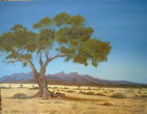 "Sossusvlei Namibia"