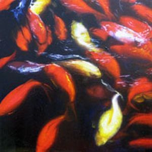 "Potsdam Koi1"