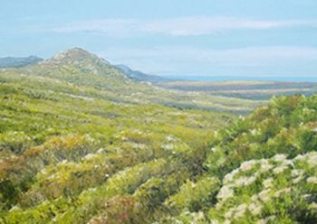 "Cape Point"