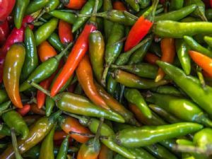 "Fresh Chilli Peppers"