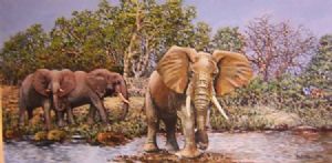 "Elephants on the Sabi"