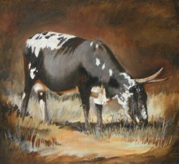 "Nguni 2"