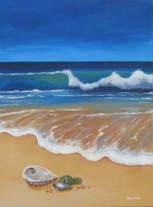 "Jeffreys Bay"