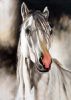 "White Flame"