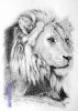 "Lion"