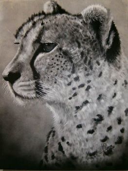 "Cheetah"