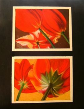 "Flowers"