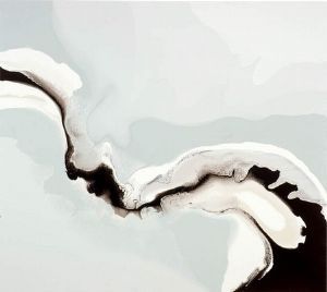 "Negro River Mouth"