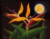 "Strelitzia in Moonlight"