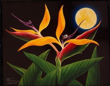 "Strelitzia in Moonlight"