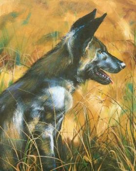 "Wild Dog After the Hunt"