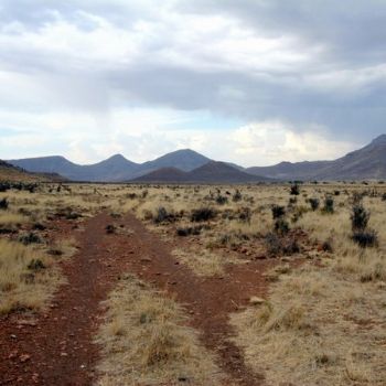 "Karoo Landscape II"