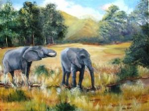 "Addo Elephants"