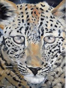 "Leopard"
