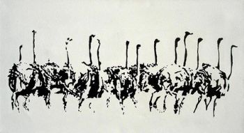 "Ostriches"