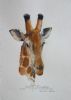 "Giraffe 0308"