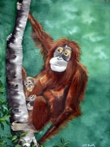 "Orang Utan - Mother and Child"