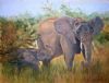 "Elephants"