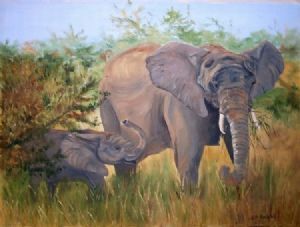 "Elephants"