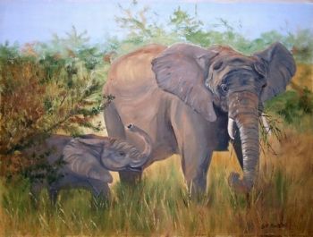 "Elephants"