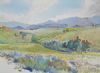 "Southern Drakensberg"