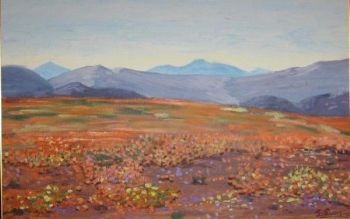 "Karoo"