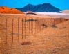 "Land of Contrasts "
