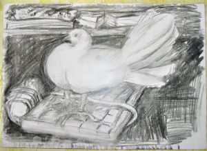 "White Dove"