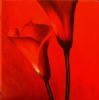 "Blood Red Lilies"