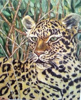 "Leopard"