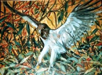 "Black Eagle"