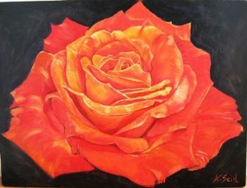 "Orange Rose on Black"