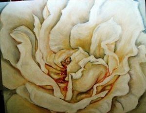 "Cream Rose"