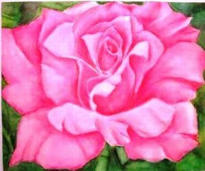 "Bright Pink Rose"